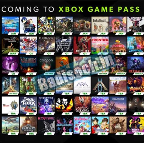 Xbox Game Pass 2024 The Full List Of Ev Badisoch