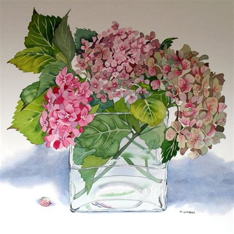 Botanical Flower Watercolour Hydrangea Pink Watercolor