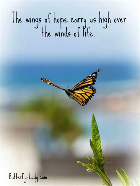 The Wings Of Hope Butterfly Quotes Butterfly Inspiration Butterfly