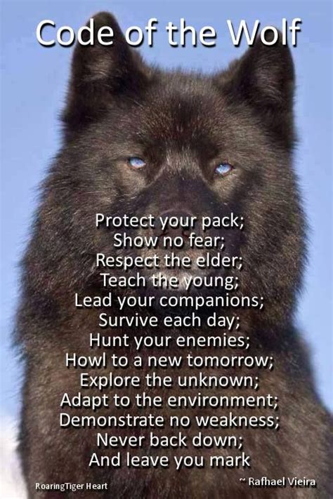 My Pack Of Wolves On Twitter Warrior Quotes Wolf Quotes