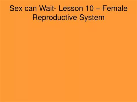 Ppt Sex Can Wait Lesson 10 Female Reproductive System Powerpoint