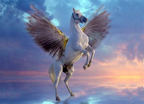 Pegasus The Winged Horse In Greek Mythology