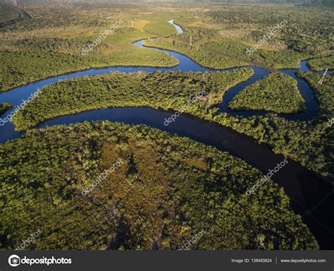 View Of River In Rainforest — Stock Photo © Gustavofrazao 138493824