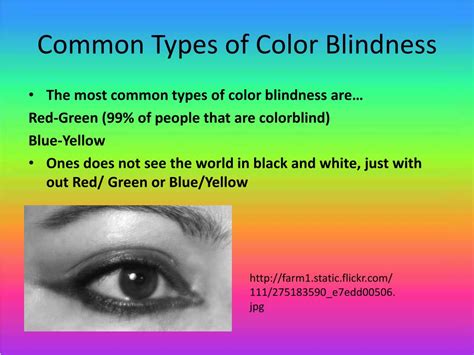 Ppt Color Blindness Powerpoint Presentation Free Download Id5714704
