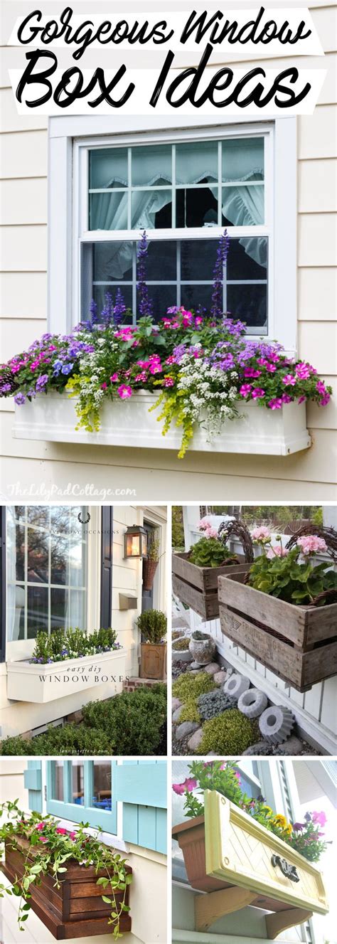 20 Gorgeous Window Box Ideas Adding Floral Magnificence To