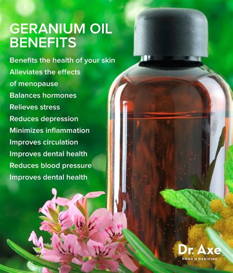 14 Geranium Oil Uses And Benefits For Healthy Skin And More Dr Axe