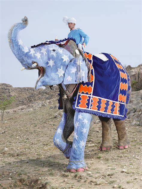 El Desfile De Los Elefantes Pintados De India Passport Travel Magazine