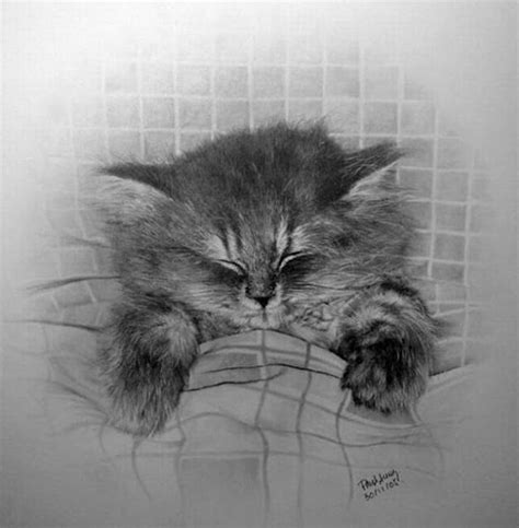 Iad Pencil Drawing Of Cute Cats