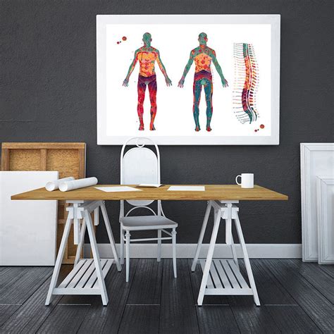 Dermatome Map Watercolor Print Spine Vertebrae And Dermatomes Etsy