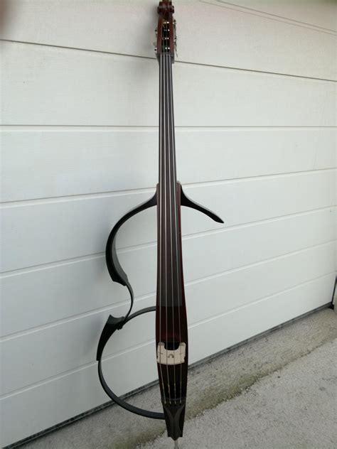 This electric upright bass : mildlyinteresting