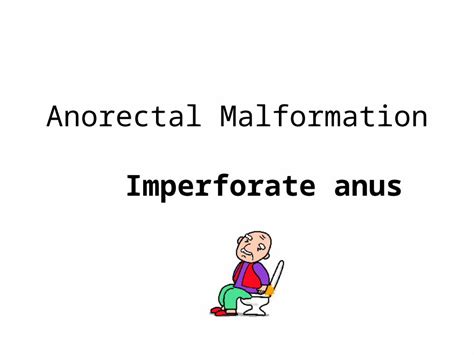 ppt anorectal malformation imperforate anus learning objectives anal anatomy embryology of