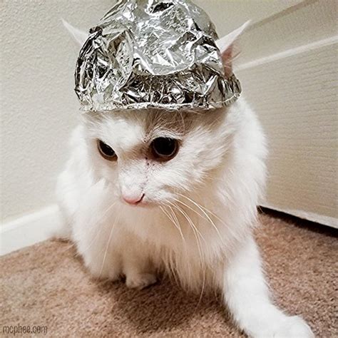 Archie Mcphee Tin Foil Hats For Conspiracy Cats