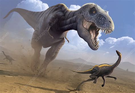 Tyrannosaurus Rex Hunting Illustration Stock Image F0041254