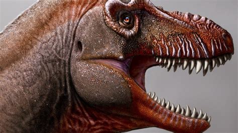 Palaeontologists Discover New Species Of Meat Eating Dinosaur In Canada Au