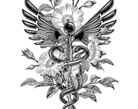 Floral Caduceus Print Medical Symbol Poster Registered Nurse Etsy