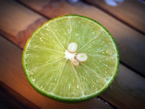 Slice Of Lime Fruit · Free Stock Photo