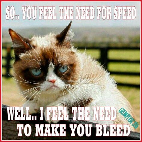 Another Grumpy Cat Meme By The Other Grumpy Kat 2016 Speed N Bleed