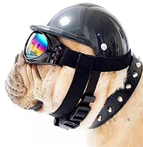 7 Best Dog Motorcycle Helmets And Goggles Reviews In 2024