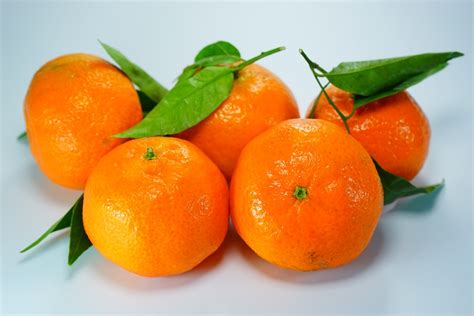 Free Photo Tangerines Oranges Clementines Free Image On Pixabay