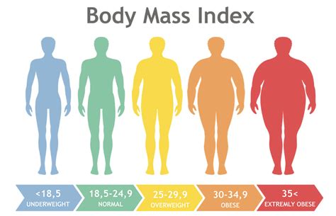 Most Accurate Body Mass Index Calculator Juludish