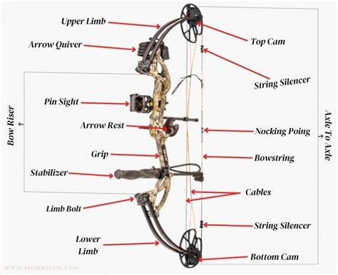 Different Parts Of Compound Bow Explained For Newbie