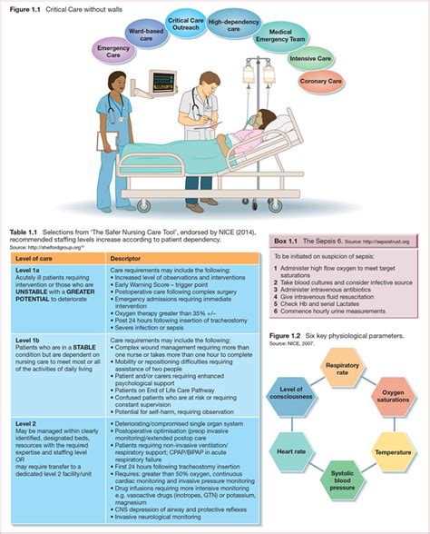 Critical Care Without Walls Nurse Key