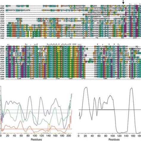 Sequence Analysis A Alignment Of Eukaryotic Frataxins Colour Coded