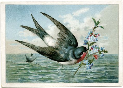 Bird With Flowering Branch ~ Free Clip Art Vintage Birds Flower