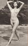Wendy Luton Vintage Nude Hot Sex Picture
