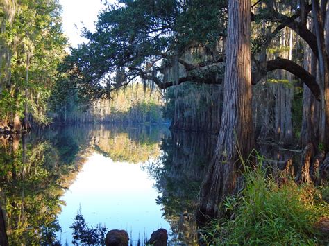 Close to the attractions area on west us192 near marker 15. Shingle Creek Regional Park, Kissimee, FL is home to the ...
