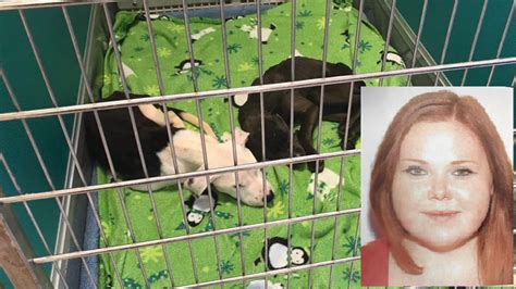 Woman Charged After Puppies Found Emaciated In Dumpster To Serve No Jail Time Wset