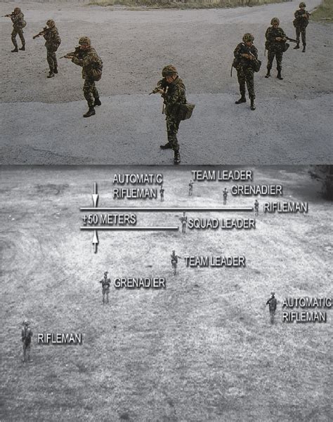 In The Us Army The Squad Is Divided Into Separate Fireteam Formations