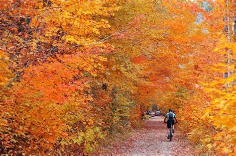 Vermont Fall Foliage From Best Cycling Trips In Us And Canada Fall