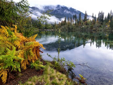 Nature Mountain Forest Landscape Fog Lake Ultrahd 4k Widescreen Hd