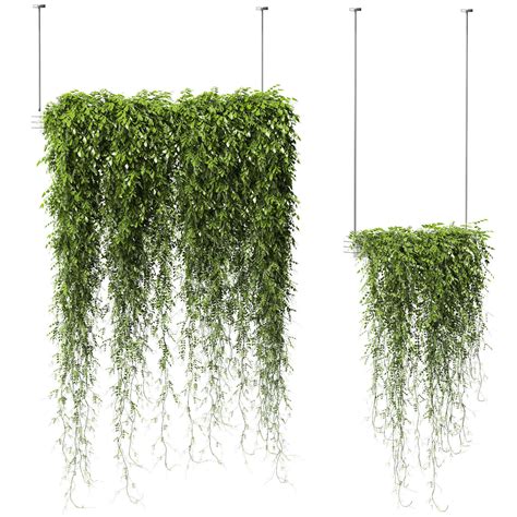 Plants In Hanging Planters V2 2 Models 3d Model Cgtrader