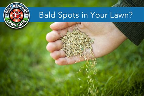 Bald Spots In Your Lawn Millikens Irrigation And Lawn Maintenance