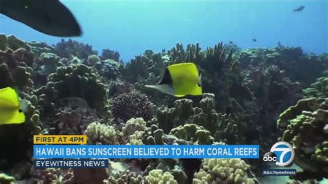 Hawaii Bans Certain Sunscreens To Protect Coral Reefs Abc30 Fresno