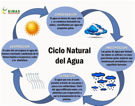 Pasos De El Ciclo Del Agua Ciclos Biogeoquìmicos