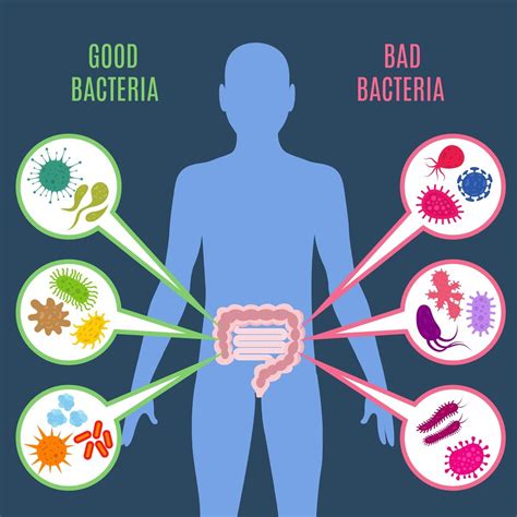 5 Signs That The Intestinal Flora Is Out Of Balance