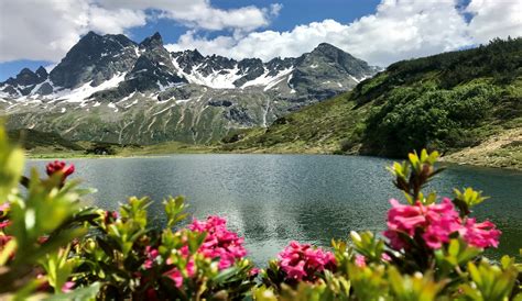 15 adressen zu anton schweizer mit telefonnummer, öffnungszeiten und bewertung gefunden. Kulinarik & Kunst mit Gérard Depardieu in St. Anton am ...