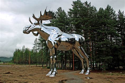 Only males have antlers, and they typically spread 64 inches with a weight of 44 pounds. Canada Just Can't Tolerate Norway Having The Tallest Moose ...