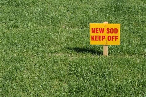 Lawn care should include proper mowing, fertilization, watering and irrigation, aeration, weed management, and the correct sod for the region. How To Care For New Sod - A Green Hand