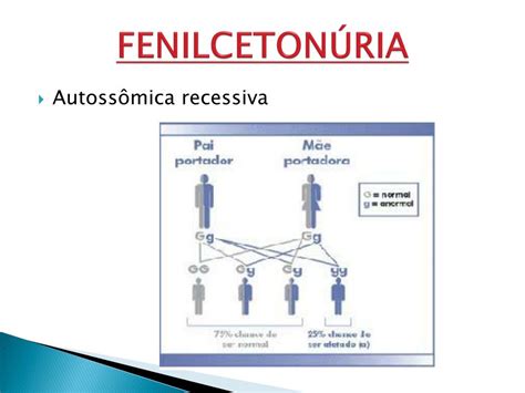 A Fenilcetonúria é Uma Doença Hereditária Autossômica Recessiva