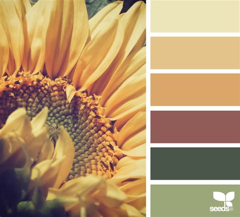 Sunflower Hues Decor Color Schemes Fall Color Palette Sunflower Colors