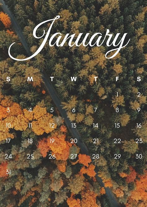 January 2021 Iphone Calendar Wallpaper In High Definition