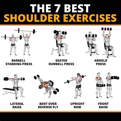 The 7 Best Shoulder Exercises R Lovewithfitness