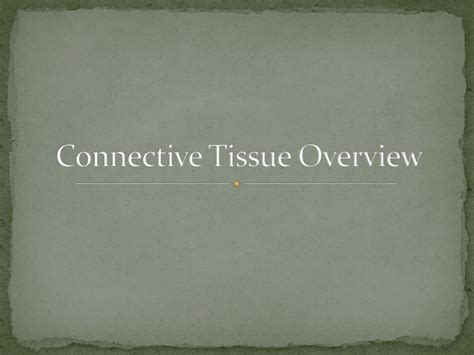 Ppt Connective Tissue Overview Powerpoint Presentation Free Download
