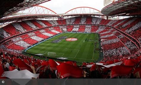 Follow the live commentary of the encounter on the match center of the official. Antevisão Benfica - Dinamo Kiev - Benfica HD