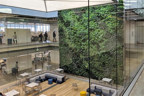 How To Incorporate Biophilic Design In Any Space Gbandd