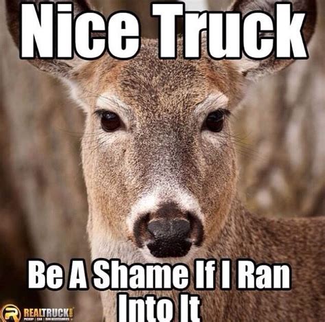 Nice Truck Be A Shame If I Ran Into It Deer Meme Deer Hit My Car